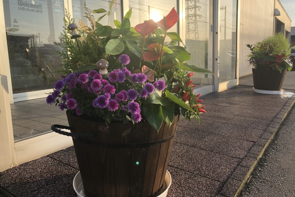 U-Car室蘭 花
